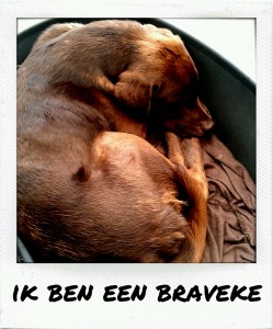 Leven beteren