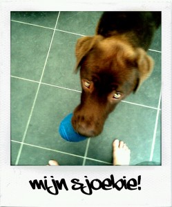 Buckie